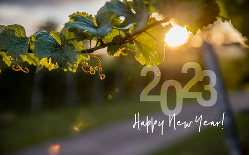 Januar-News: Frohes neues Jahr